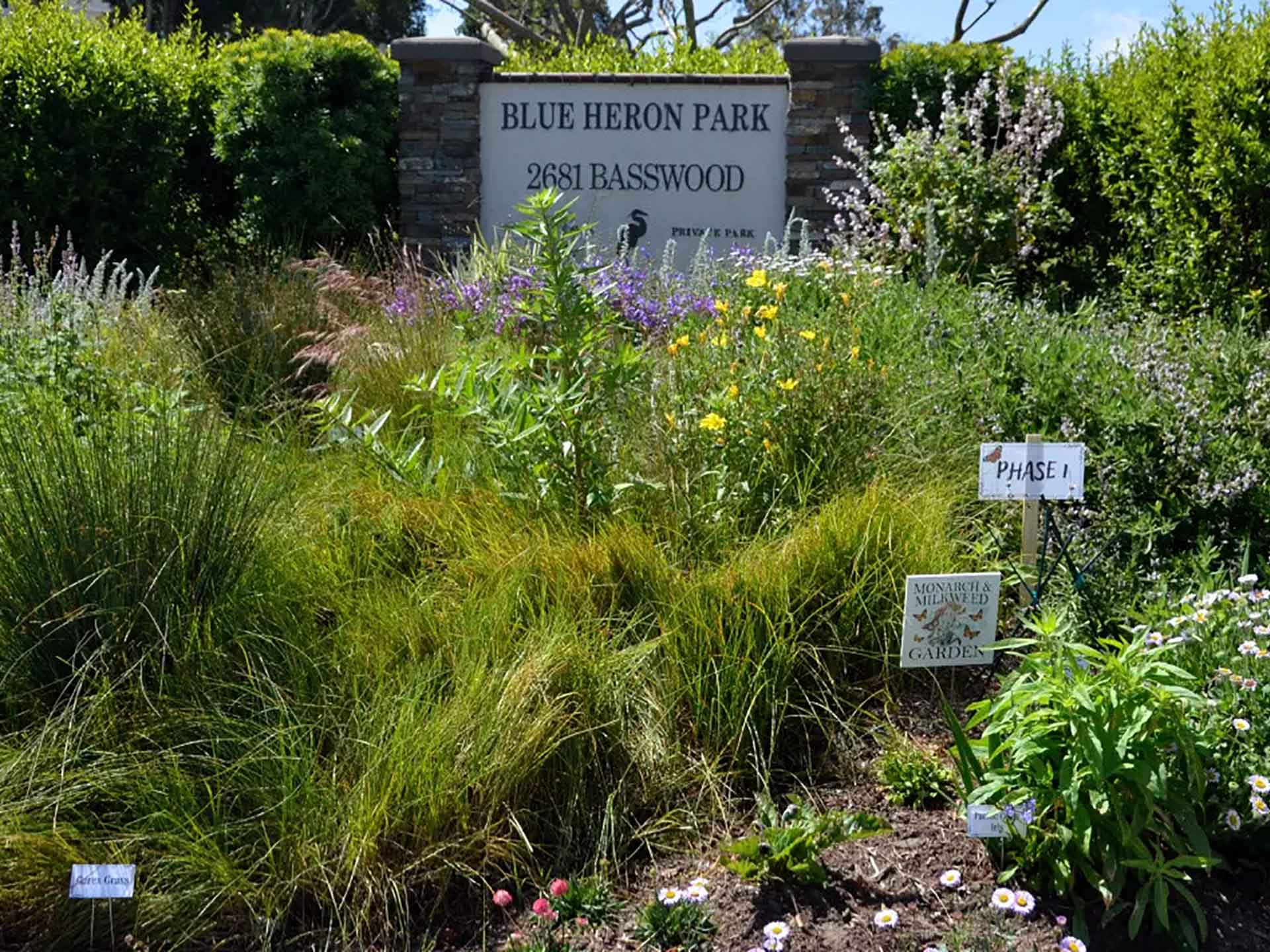 Newport Beach neighborhood celebrates butterflies and native habitats