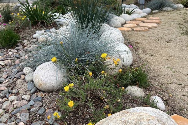 photo 14-(NEW)La Jolla, Hotel Estancia, Butterfly Garden 2