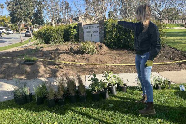 photo 3-Newport Beach, Blue Heron Park, Monument-