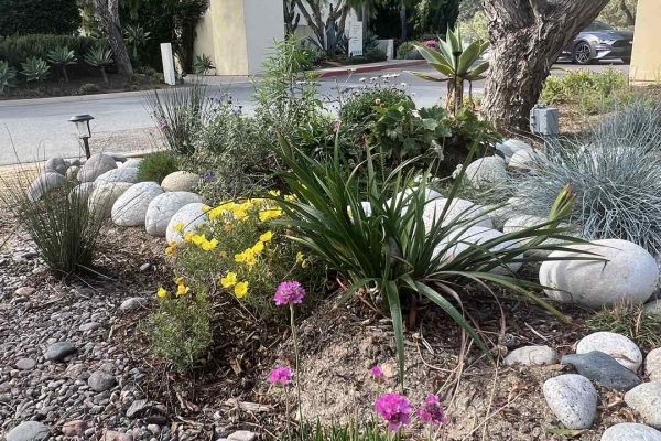 photo 8-(NEW)La Jolla, Hotel Estancia, Butterfly Garden 2